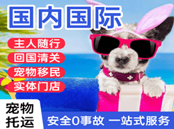 普洱思茅航空运输国际宠物托运 【国